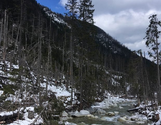 zdjecia-autorstwa-alka (5)